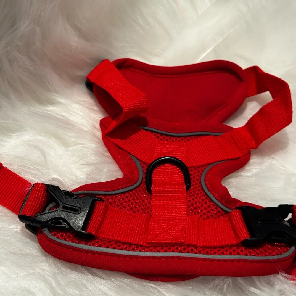 Red Dog Harness and Leash Set Small Dog